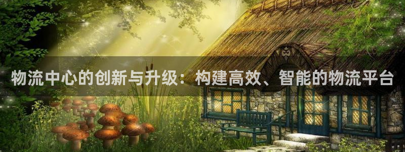 豪门国际是南宫旗下的吗：物流中心的创