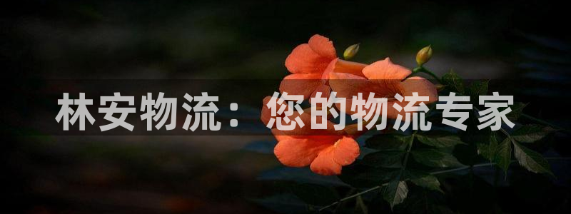 豪门国际软件是什么：林安物流：您的物