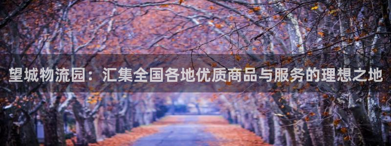豪门国际网站平台是多少：望城物流园：