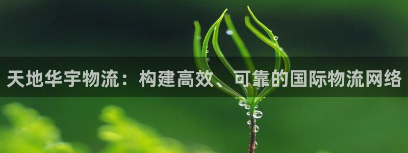 豪门国际怎么注册：天地华宇物流：构建