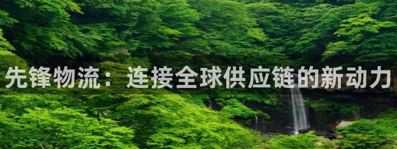 豪门国际官网入口南宫：先锋物流：连接