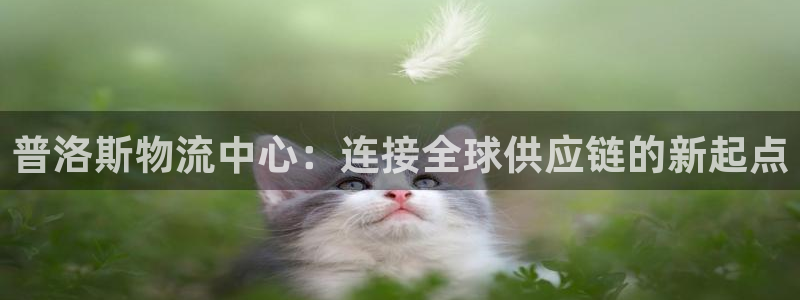 豪门国际链官网：普洛斯物流中心：连接