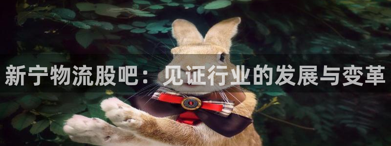 豪门国际pg如何退钱：新宁物流股吧：
