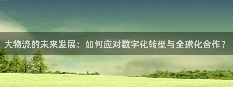 豪门国际注册用户名是什么：大物流的未