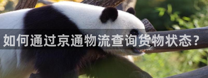 豪门国际官网入口pc预测：如何通过京