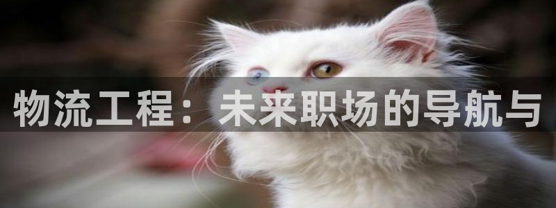 豪门国际加拿大在线预测：物流工程：未