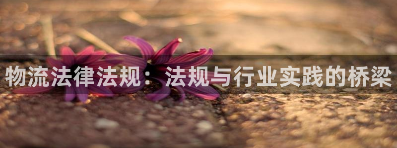 豪门国际官方网站是多少：物流法律法规