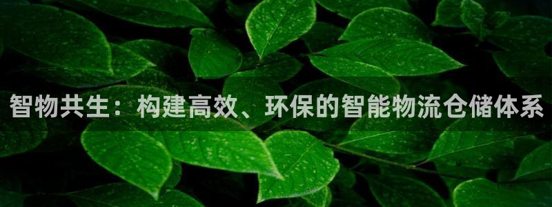 豪门国际pg麻将胡了：智物共生：构建