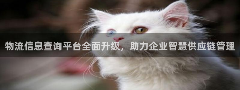 豪门国际app赢了500万：物流信息查询平台全面升级，助力企